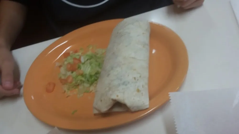 Machaca Burrito
